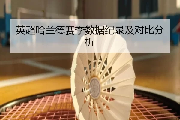 英超哈兰德赛季数据纪录及对比分析